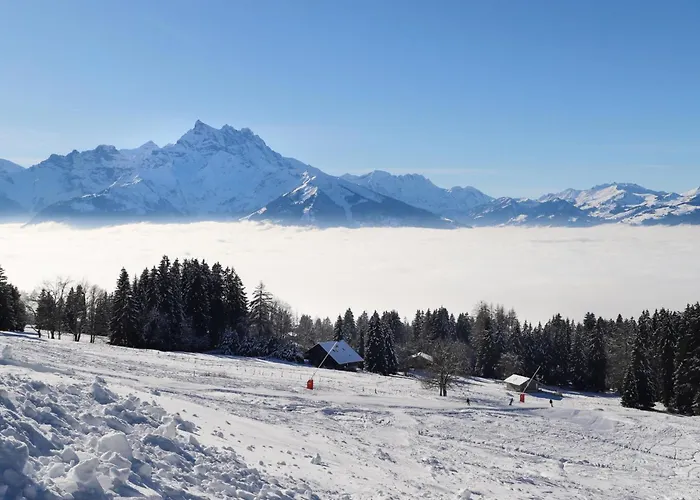 Le Miclivier B1 By Interhome Villars-sur-Ollon