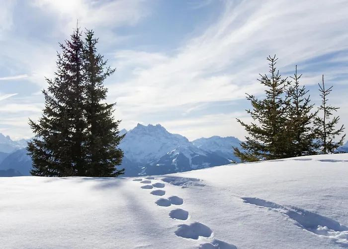 Le Miclivier B1 By Interhome Villars-sur-Ollon